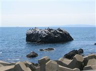 IMG_5597_R.jpg