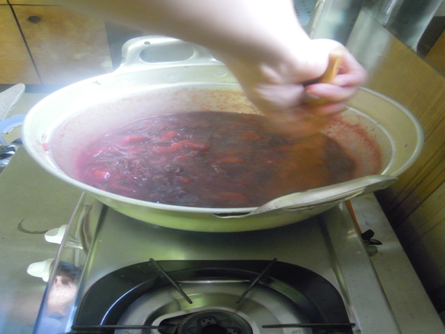 DSCN5344_R2.JPG