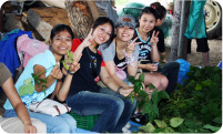 Farm experience