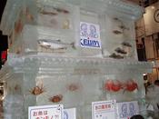 P1010010_R.jpg