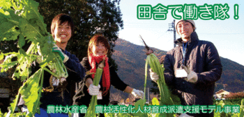 【応募締切間近！8月3日必着】田舎で働き隊に参加して、田舎の魅力再発見しませんか？