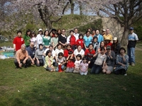 jts5-03-hanami.JPG