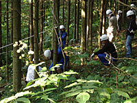 森林間伐をするワークキャンパー　　　　2005年・大沼国際キャンプから