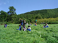 森林作業をするワークキャンパー　　　　2005　大沼吉野山