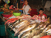 IMG_4877.jpg