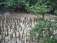 IMG_4927.jpg
