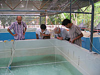 IMG_5011.jpg
