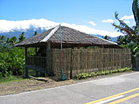 IMG_5021.jpg