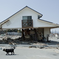 ＜終了＞【2011.10.22（土）】多文化共生ワークショップin函館 「東日本大震災から多文化共生を考える」