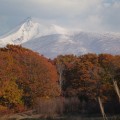 雪の駒ケ岳